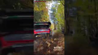 Crash LappiCentral European Rally 2023wrc [upl. by Notsag970]