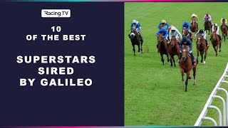 10 of the Best Galileos offspring superstars [upl. by Yarw]