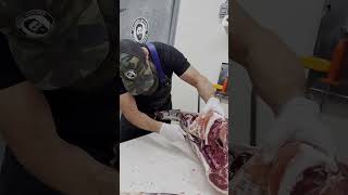 Removing the Deer Backstrap 🔪🦌 shorts deer venison backstrap butcher [upl. by Claiborne]