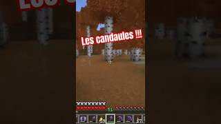 Les cucks bien soumis notamment RN minecraft droite politique [upl. by Ogren]