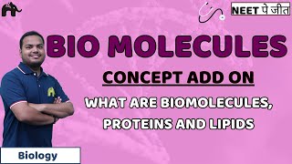 Biomolecules Class 11 Biology NEET  Biomolecules Proteins Lipids [upl. by Htiaf]