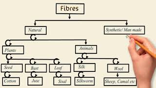 Types of Fibres Difference between Natural and Man made Fibres [upl. by Nelli]