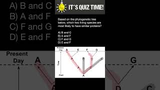 Evolutionary biology quiz [upl. by Gautea]