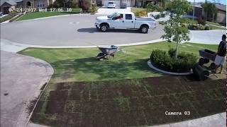 Organic Composted Manure on Lawn  Time Lapse  Central California  Amazing Results [upl. by Henrie]