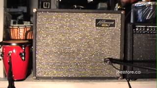 KALAMAZOO Bass 30 Tube Amp Demo  Guitar [upl. by Ardath]