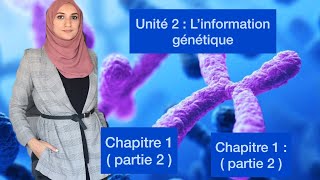 Unité 2 l’information génétique et son mécanisme d’expressionchapitre 1 partie 2 [upl. by Hirsch367]