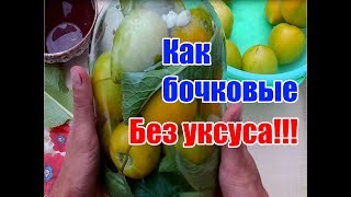 Зеленые помидоры холодного посола  Как бочковые Заготовки на зиму  Без уксуса [upl. by Anyahc]