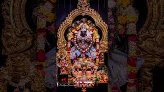 Narasimha Mantra Origanavideoshortsnarayannarasimhanarasimhaswami love trindinge ytshorts [upl. by Arriet]