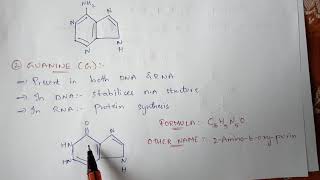 N2 bases  NITROGENOUS BASES  PURINS AND PYRIMINDINS   BIOTECHNOLOGY  BY PHANINDRA GUPTHA [upl. by Beekman106]