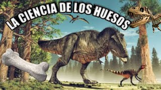 😍 PALEONTOLOGÍA 💗 ¿Qué es y qué estudia 🦕🦖🐊¿Cómo trabaja un paleontólogo [upl. by Crisey259]