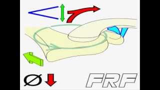 5Movimiento acromioclavicularAcromioclavicular motion [upl. by Jenna]