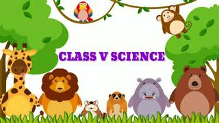 Oviparous animals and Viviparous animals Class 5 Science [upl. by Samuela]