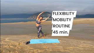 45 min Full Body  Mobility Routine for Flexibility amp Relaxation [upl. by Adlev141]