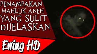 5 Penampakan Mahluk Aneh yang Sulit Dijelaskan  Part 1  MalamJumat [upl. by Hilarius]