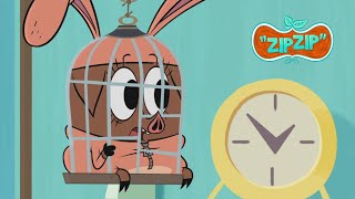 We need a hero   Zip Zip English  Full Episodes  4H  S1  Cartoon for kids [upl. by Schnapp]