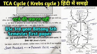 Krebs cycle in Hindi  TCA cycle in Hindi  Citric acid Cycle  BSc 3rd year Botany 5th semester [upl. by Niltiak]