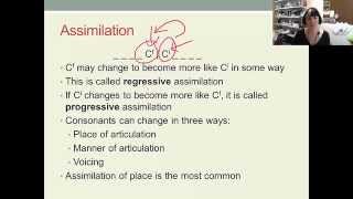 English Phonology Lecture 5 2 Aspects of connected speech [upl. by Kylie]