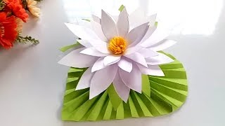 how to divide a water lily [upl. by Consuela116]