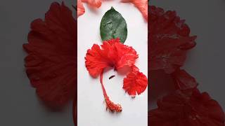 ganpati making with flowersganesha flower decoration at homeganesha home decor Diyganesha rangoli [upl. by Novyad]