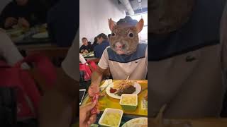 Le Rat au Resto U Shorts [upl. by Yeslah]