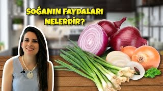 Soğanın Faydaları Nelerdir [upl. by Christy]