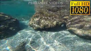 PLAGE DES DARBOUSSIERES  GIENS  FOND MARIN  GoPro  1080pHDoctobre 2018 [upl. by Harriman665]