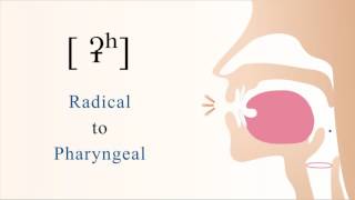 ʡʰ  unvoiced aspirated radical pharyngeal stop [upl. by Kcinnay]