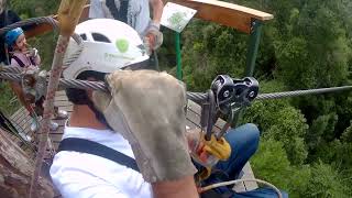 Tsitsikamma Canopy Tour livinglifetothefullest adventure southafrica [upl. by Nita]