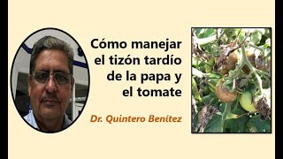 Manejo de Phytophthora infestans en papa y tomate [upl. by Pepito]