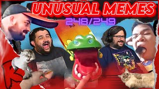 UNUSUAL MEMES COMPILATION V248 amp V249  UnusualVideos  RENEGADES REACT [upl. by Peugia]