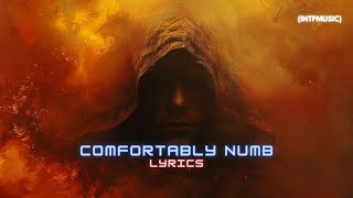 Pink Floyd  Comfortably Numb Lyrics [upl. by Haeluj]