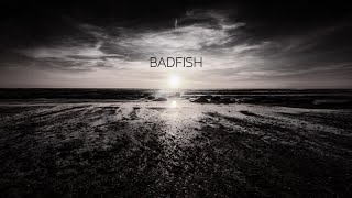 Badfish Sublime Cover  Michael Walls [upl. by Nedarb]