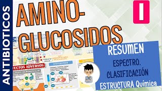 AMINOGLUCOSIDOS RESUMEN CLASIFICACIÓN Mecanismo de Acción ESPECTRO Antibacteriano  PARTE 1 [upl. by Tiffany]