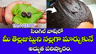 మీ తలలో తెల్లవెంట్రుకలకి బై బై చెప్పేయండి👋Chemical Hair Dye వద్దు👋 Natural Hair Dye ఇలా వాడితే చాలు🔥 [upl. by Aynotak84]