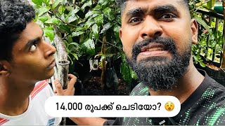 14000 രൂപക്ക് വീണ്ടും ചെടി വാങ്ങി ഉമ്മച്ചി  ചെടി Vlog  Family Vlogs  Hanan Shaah [upl. by Caty73]