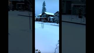 How does a snow suburb look like ☃️🌨️🏂travel beautiful interesting viralshorts [upl. by Yvel]