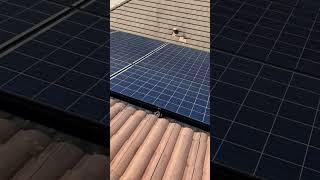 Roof amp Solar Panel Cleaning roofwashing solarpanelcleaning guttercleaning sacramento [upl. by Reyaht]