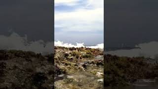 ZEN waves crashing on Bonaire travel [upl. by Schaper355]