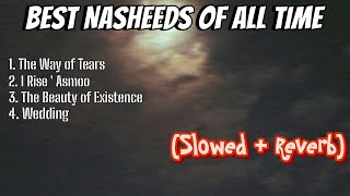 Best Collection of Nasheeds No Music  Slowed And Reverb [upl. by Arytahs]