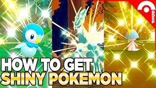 How to Get Shiny Pokemon amp PokeRadar Guide in Pokemon Brilliant Diamond amp Shining Pearl [upl. by Meyer]