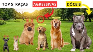 🐶 5 Raças de Cachorros Mais Doces e 5 Raças Mais Agressivas 😈 [upl. by Sinai]