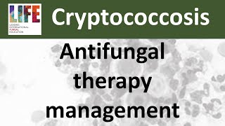 Cryptococcosis antifungal treatment management [upl. by Radie]