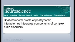 Postsynaptic interactome profiles amp Complex brain disorders [upl. by Ramgad330]