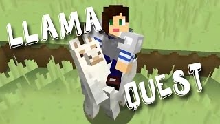 LLAMA QUEST [upl. by Orvah365]