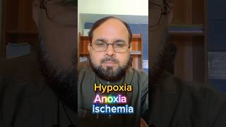 HypoxiaAnoxiaIschemia ❤️‍🔥 shortsvideo education [upl. by Enieledam]