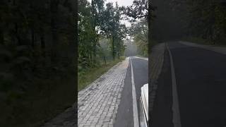 Satpura tiger reservepachmarhihillstationtravel travelingfypytshortsshorts shortvideoytshort [upl. by Grewitz663]