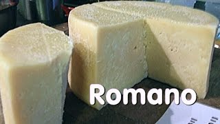 Making Vaccino Romano Cheese [upl. by Berk]