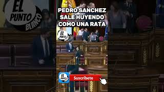 PEDRO SANCHEZ SALE HUYENDO COMO UNA RATA shorts sanchez vox pedrosanchez amnistía puigdemont [upl. by Bliss93]