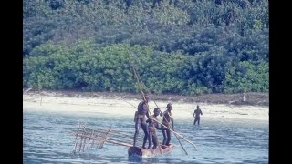 North Sentinel Island  What is hidden on the island [upl. by Cope]