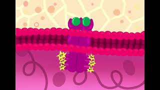 Cancer cell SignalsPi3k Pathway [upl. by Ianthe]